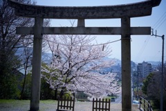 讃岐東照宮