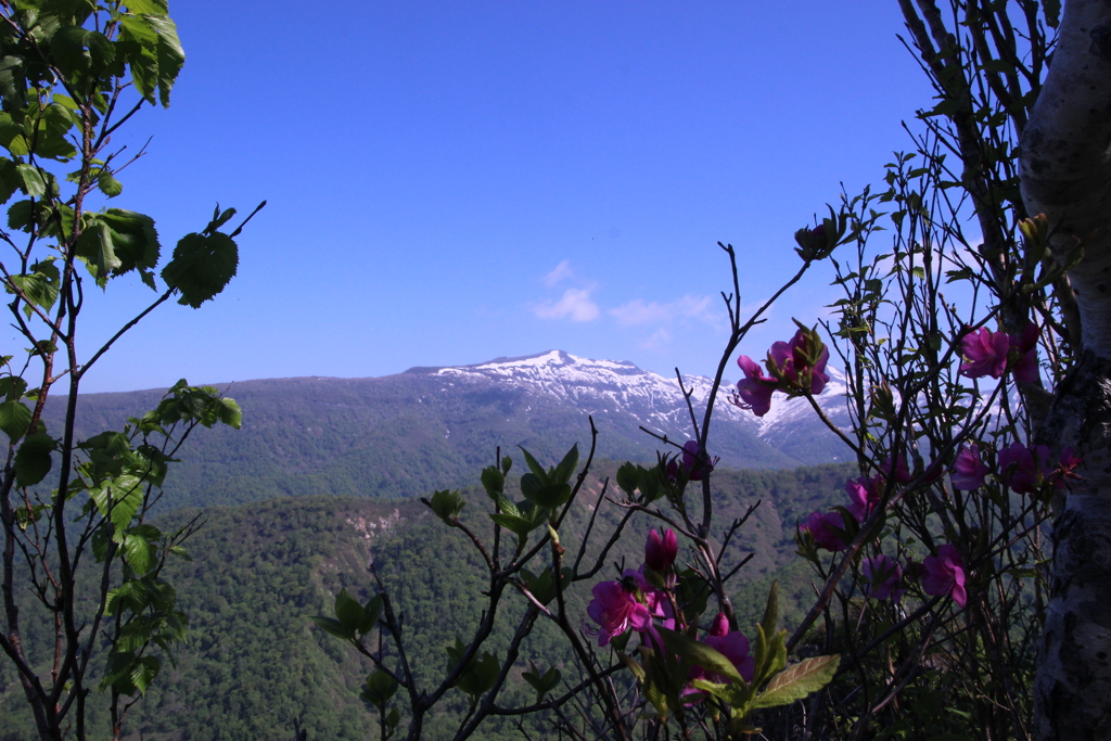 夏山