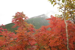 山はもう紅色