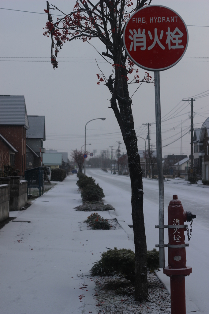 消火栓と雪道