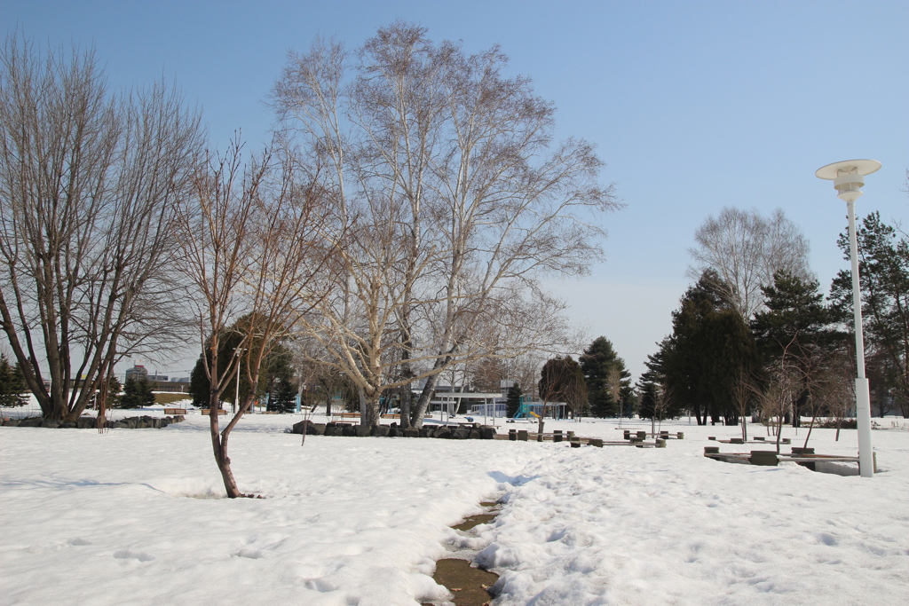 雪解けの公園