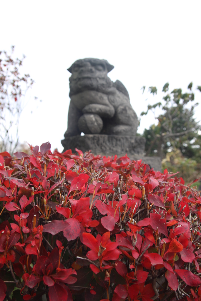 紅葉と狛犬