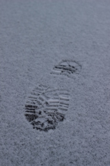 初雪の一歩