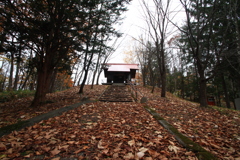 落ち葉の神社