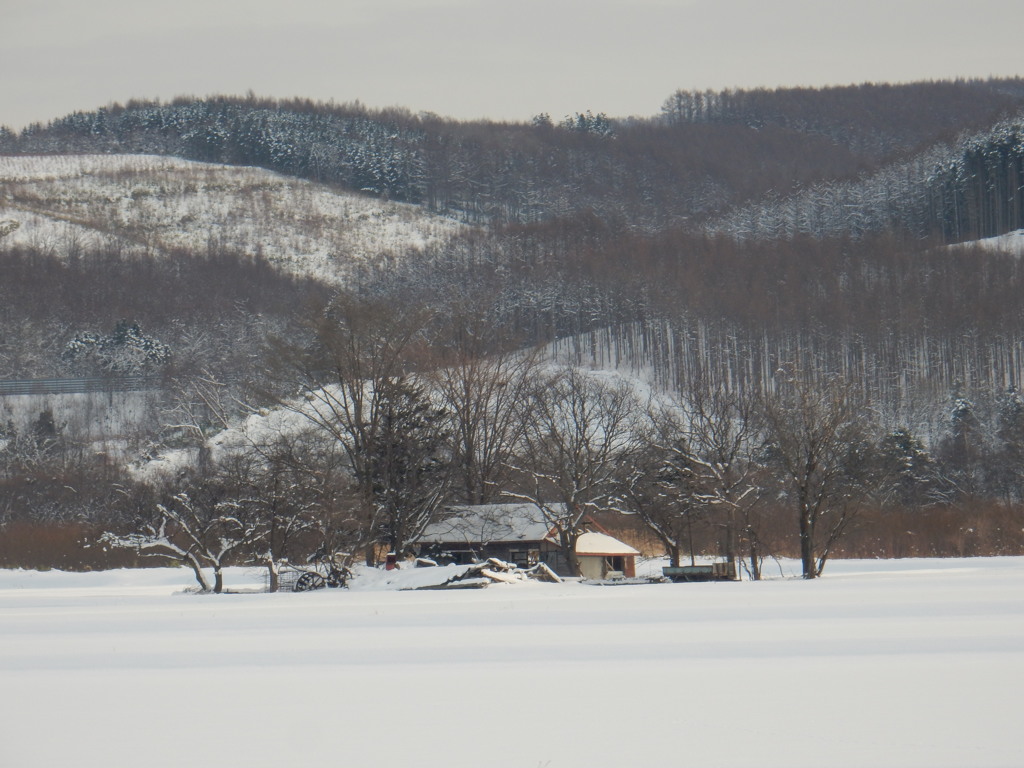 雪の農村