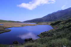 沼の平