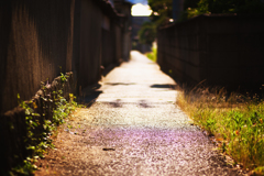 細い道