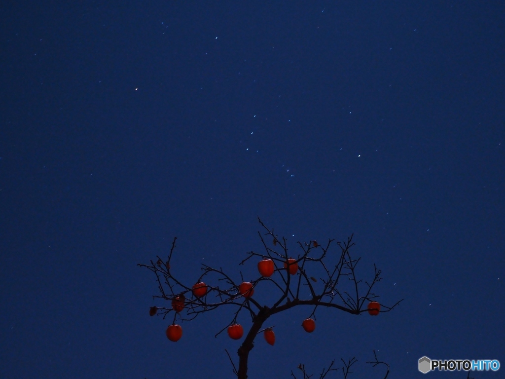 晩秋の星空