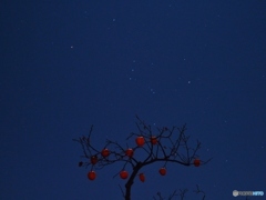 晩秋の星空