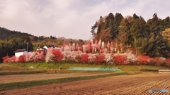 花屋敷