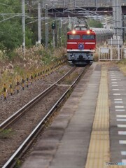 もう１枚