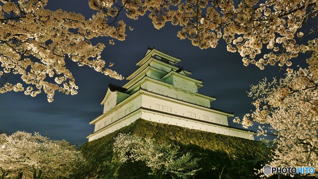 桜とお城