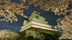 桜とお城