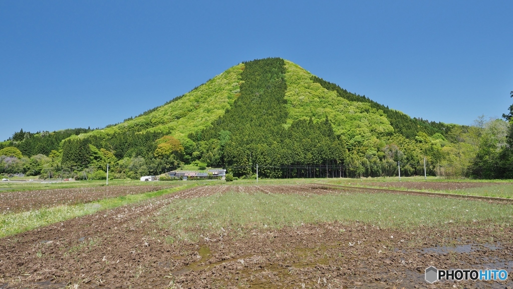 新緑の山