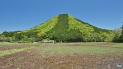 新緑の山