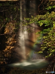 朝日に照らされて！