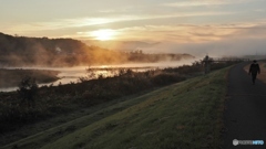 霧の朝