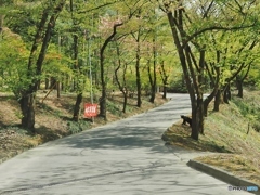 クマとの遭遇！