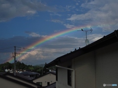 雨上がりの空に