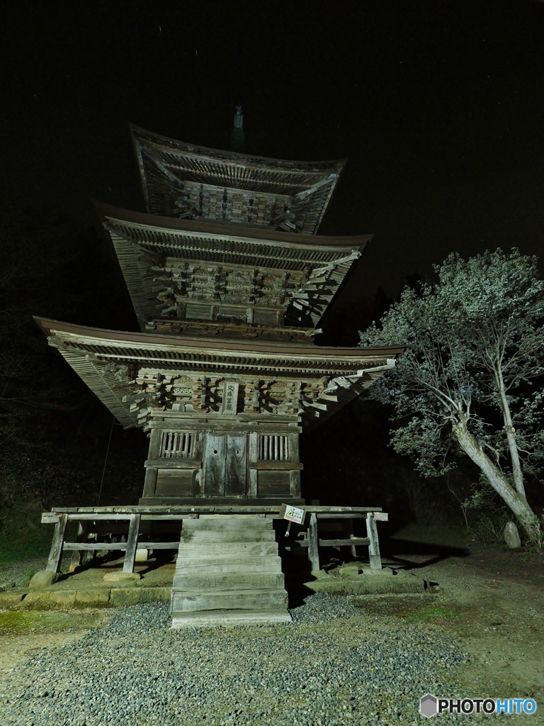 お寺の桜
