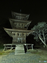 お寺の桜