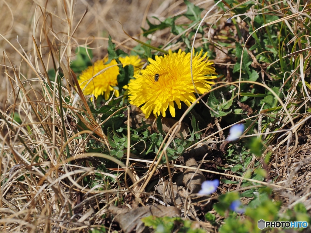 春の陽気に誘われて♪