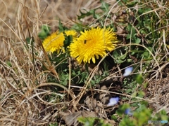 春の陽気に誘われて♪
