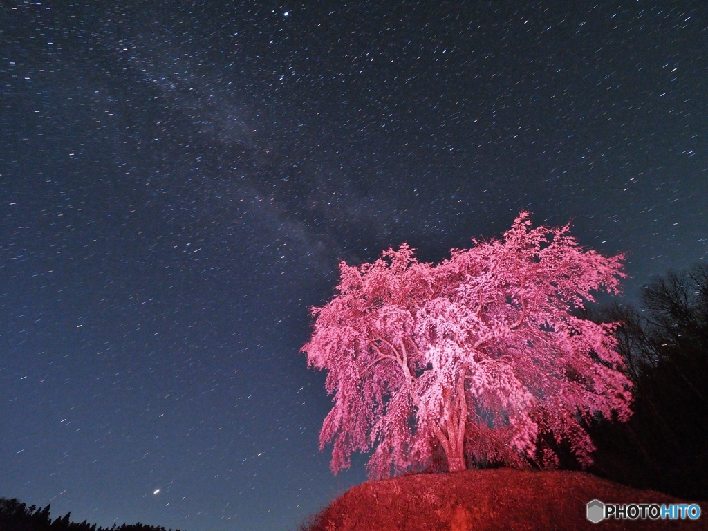 星空にピンク