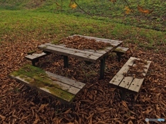 今日のメインディッシュは？