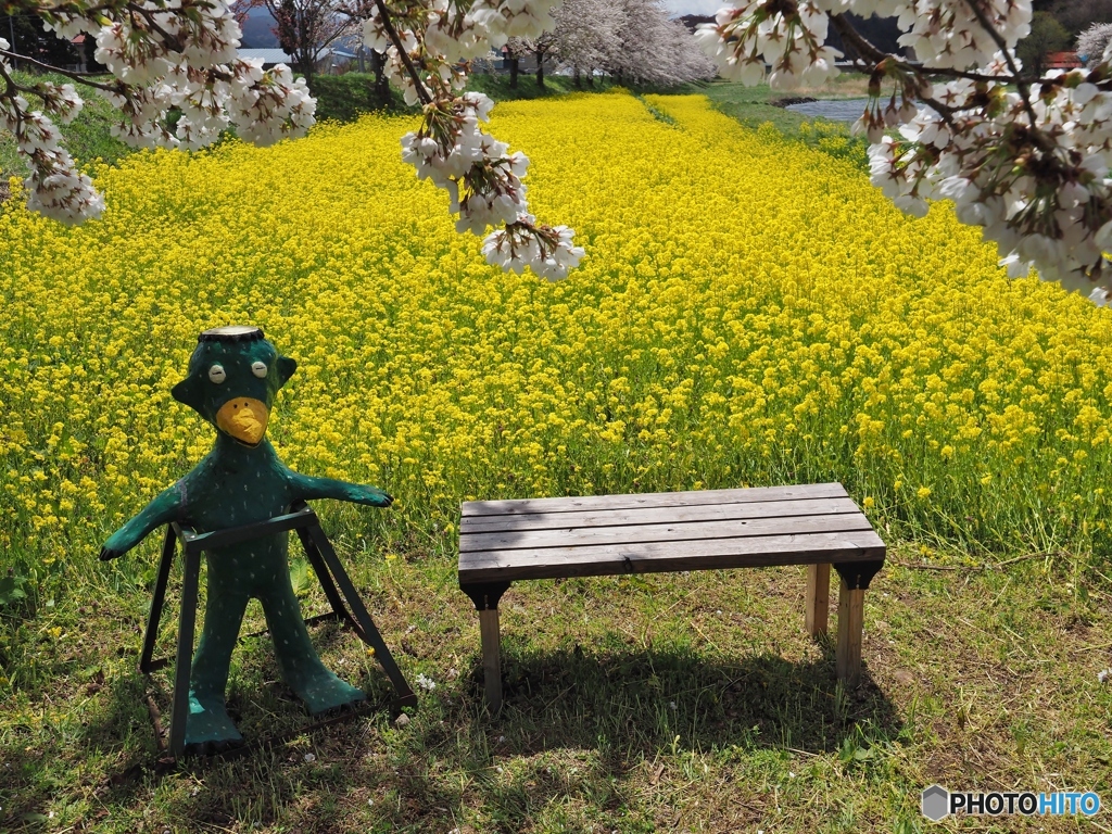 一緒に撮ろうよ！