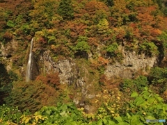 紅葉と滝