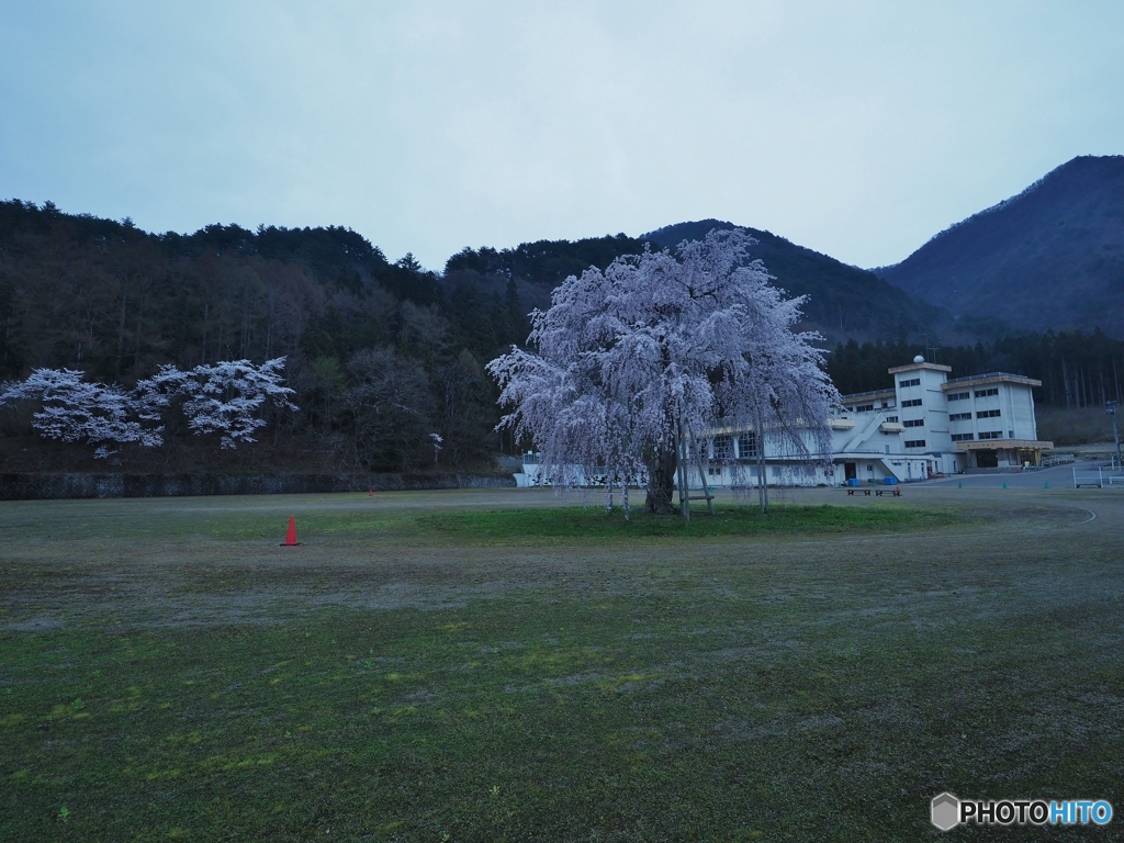 鎮座