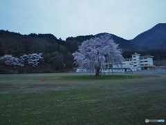 鎮座