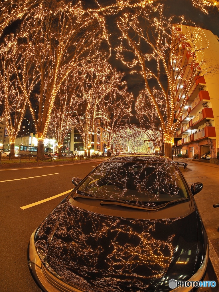 光のページェント