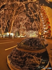 光のページェント