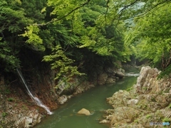 渓谷の遊歩道から