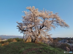 安達太良を望む