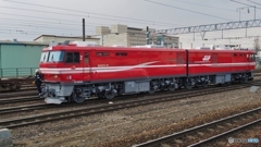 ＥＨ８００