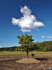 秋空に！