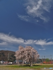 青空の下