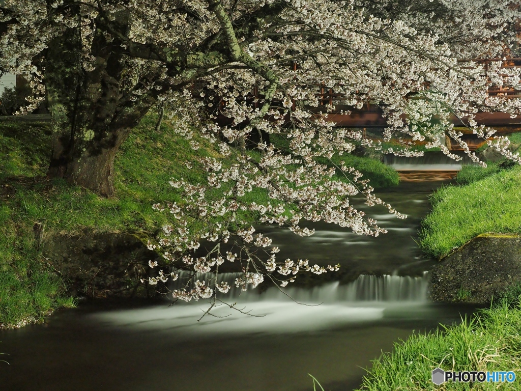 深夜の観音寺川