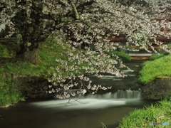 深夜の観音寺川