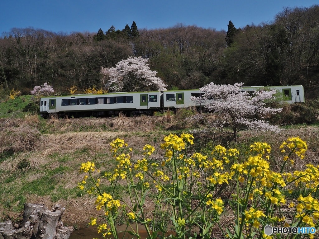 列車が通過します。