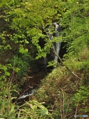 迷滝２