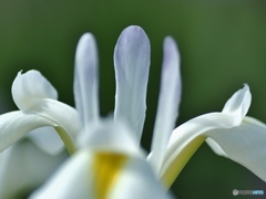 せっかくだから！