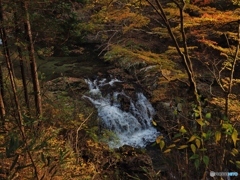 紅葉と滝