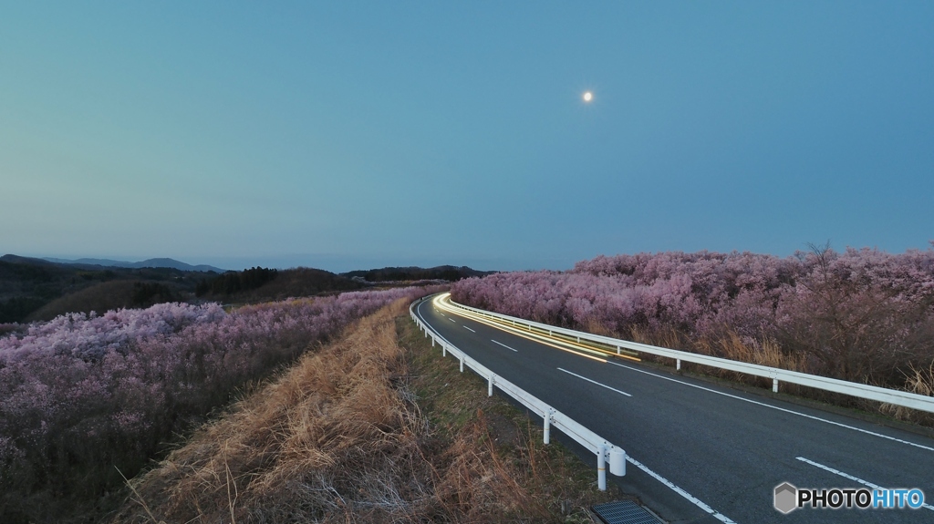 桃源郷の夜明け