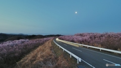 桃源郷の夜明け