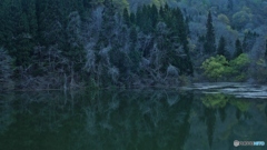 ダム湖