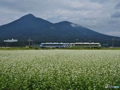 秋の風景